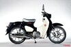 【映像】CT125ハンターカブはどんな乗り味？ スーパーカブC125とスペック比較で予想してみる