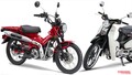 【映像】CT125ハンターカブはどんな乗り味？ スーパーカブC125とスペック比較で予想してみる