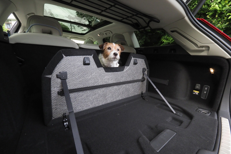 夏休みこそ愛犬と一緒に出かけよう プロが選ぶドッグフレンドリーなクルマ3選 Dime 自動車情報サイト 新車 中古車 Carview