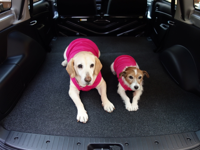 夏休みこそ愛犬と一緒に出かけよう プロが選ぶドッグフレンドリーなクルマ3選 Dime 自動車情報サイト 新車 中古車 Carview