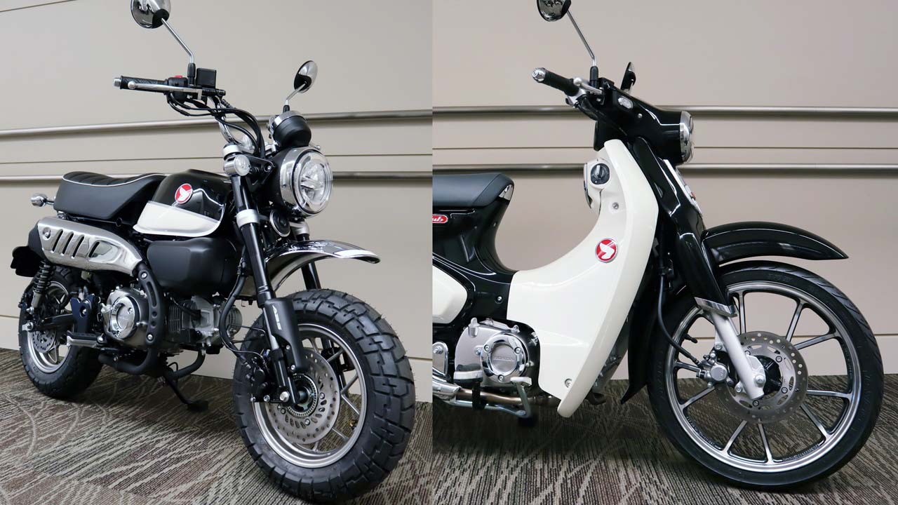 Scoop 日本仕様にも ブラック 登場 スーパーカブc125とモンキー125に新色追加 その他の新型車も Webヤングマシン 自動車情報サイト 新車 中古車 Carview