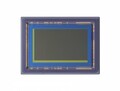 キヤノン：超高感度CMOSセンサー“35MMFHDXSCA”を発売