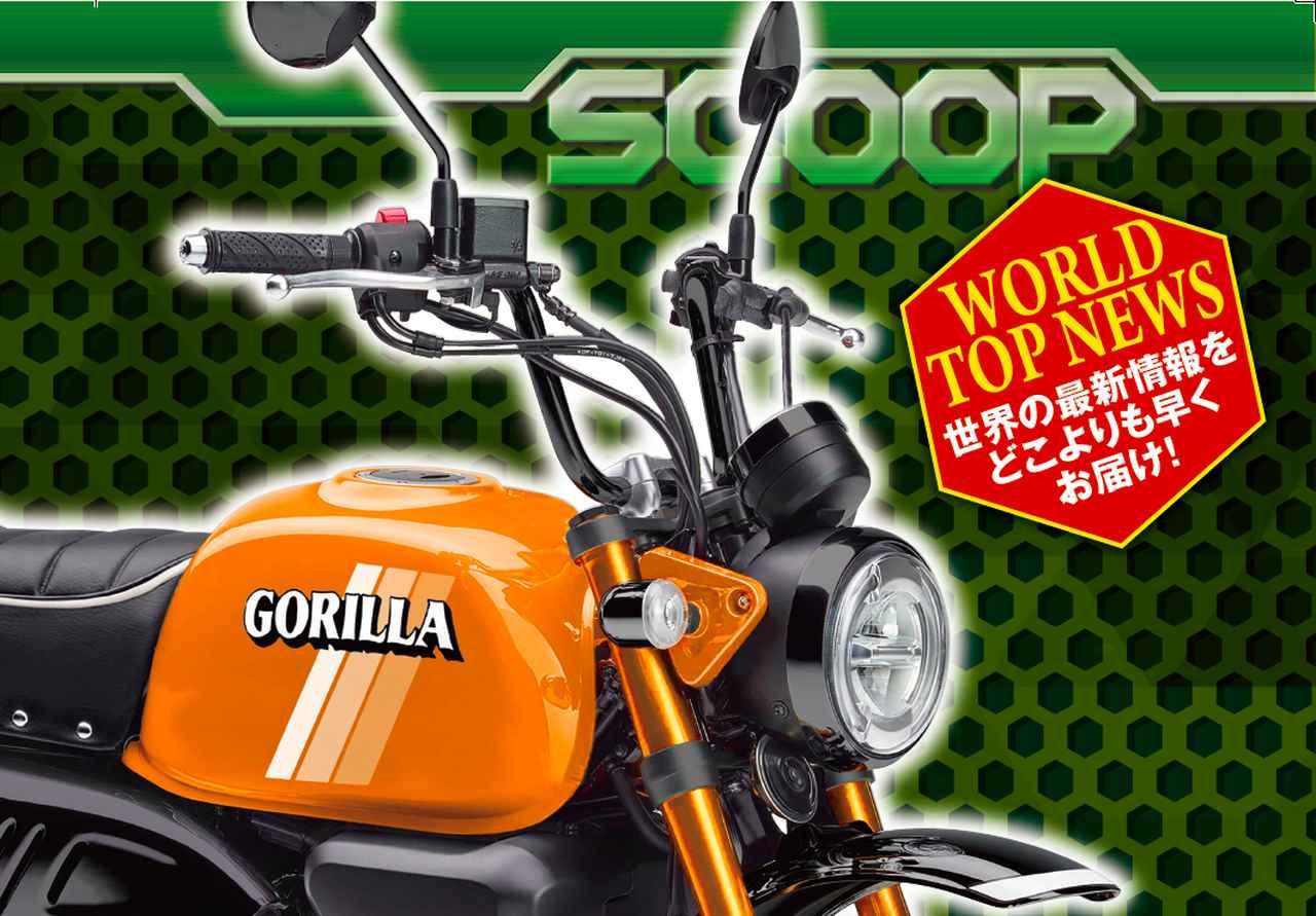 モンキーに続いてゴリラも125で登場 37年ぶりにハンターカブが国内復活 月刊オートバイ Ride 9月号 Webオートバイ 自動車情報サイト 新車 中古車 Carview