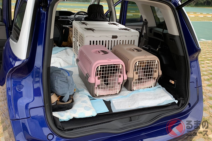 犬を車に乗せて事故に遭ったらどうなる クルマ酔いや糞尿処理など注意したいこととは くるまのニュース 自動車情報サイト 新車 中古車 Carview