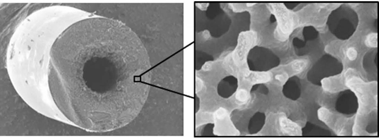 東レ：世界初の連続する空隙構造を持った多孔質炭素繊維を創出～サステナブル社会に不可欠な高性能ガス分離膜の性能向上に貢献～