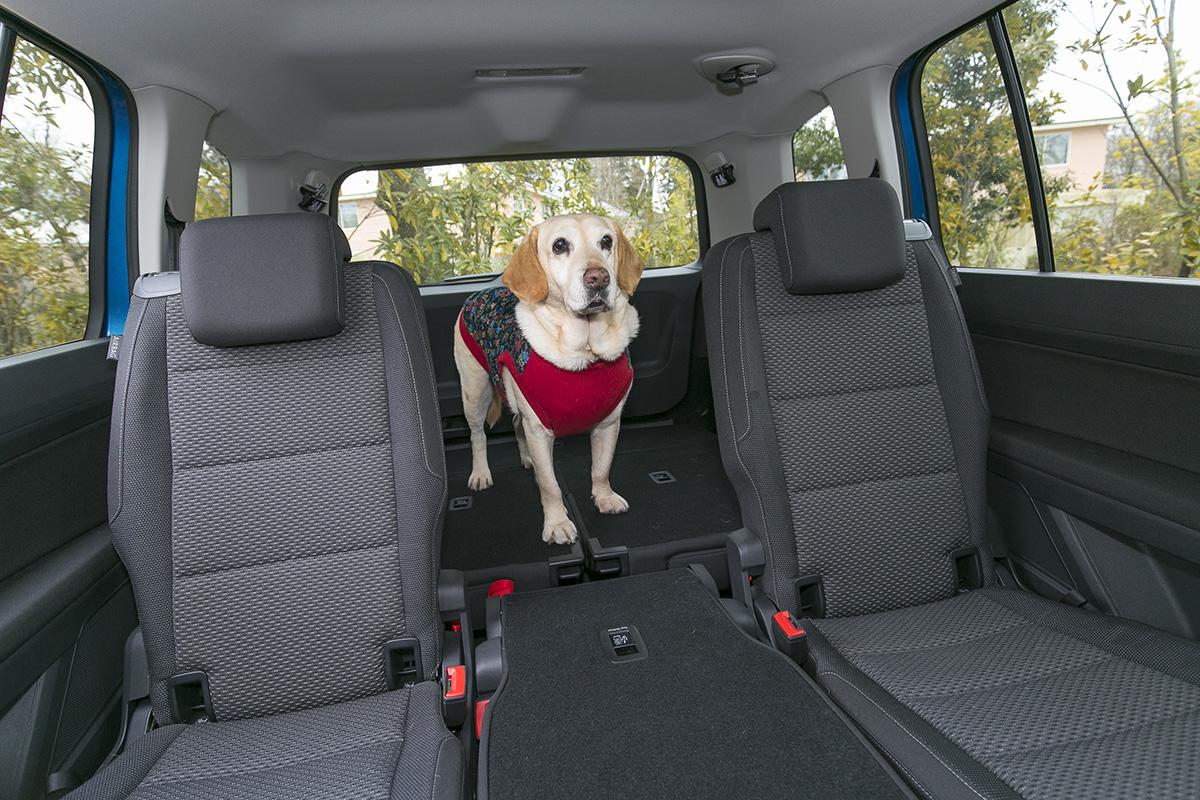 愛犬家必見 本当にドッグフレンドリーなクルマの選び方と最新オススメ車６選 Web Cartop 自動車情報サイト 新車 中古車 Carview