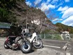 愛知県新城市に桜とナイアガラを求めてSUPER CUB 90でツーリング。これが三河の底力！〈若林浩志のスーパー・カブカブ・ダイアリーズ Vol.5〉