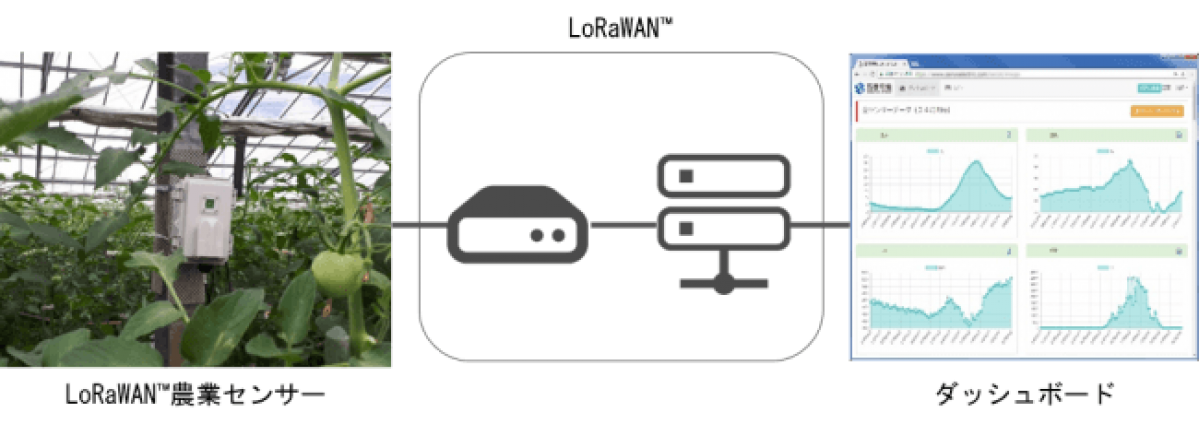 西菱電機：LoRaWANを活用した農業IoTでトマト栽培環境を数値化