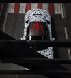 マセラティ、新型スーパーカー「MC20」の新画像を公開