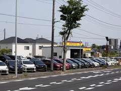 埼玉県最大級の中古車販売店です！国道17号バイパス沿いです。