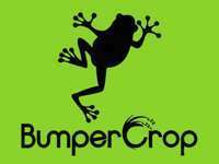 Bumper　Crop null