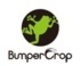 Bumper　Crop null